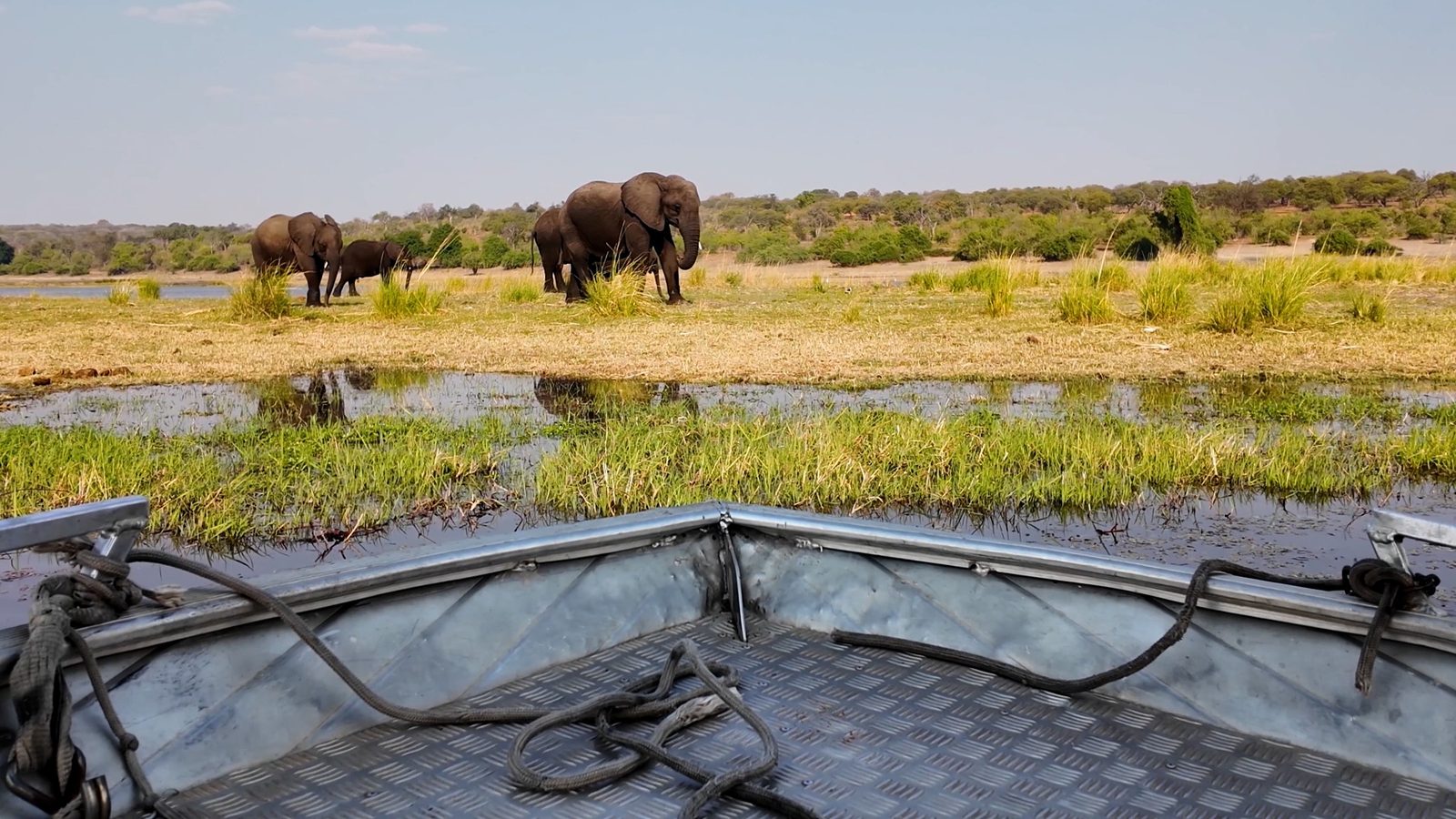 Pilanesberg game drive